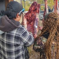 Two people in outdoor clothing are processing meat hanging from hooks. They work together to prepare the carcass in a rural setting with trees and a vehicle in the background.